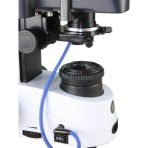 Microscopio Iscope Campo Oscuro IS.1153-EPL/DF | EUROMEX | M-IS-1153-EPL/DF