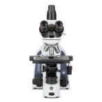 Microscopio Iscope Campo Oscuro IS.1153-PLi/DF | EUROMEX | M-IS-1153-PLi/DF