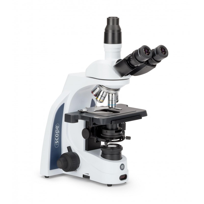 Microscopio Iscope Campo Oscuro IS.1153-PLi/DFi | EUROMEX | M-IS-1153-PLi/DFi