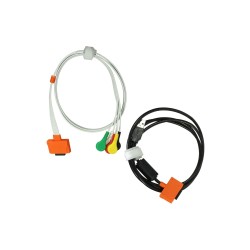Holter ECG Clickholter 48h o 7 días de Cardioline | Quantum Spain